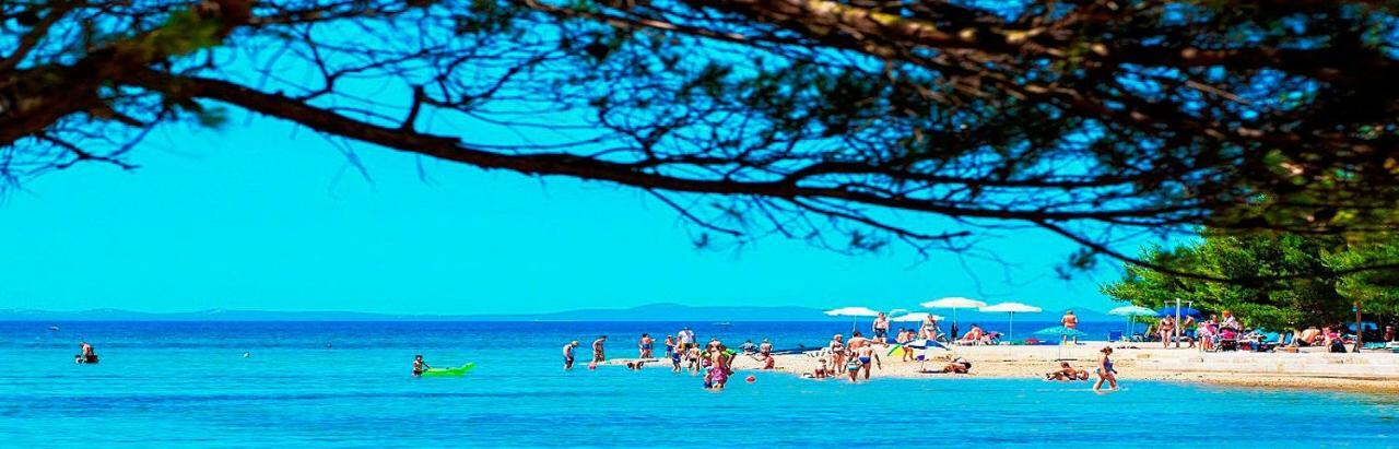 Apartments Vesna Zaton  Εξωτερικό φωτογραφία